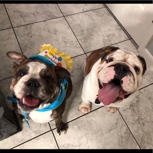 Meet your Posher, Sherry